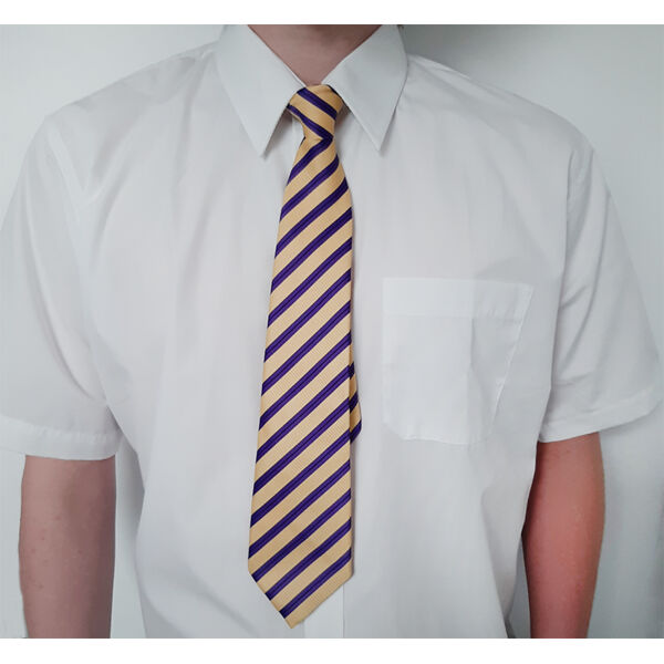 Short Sleeve Polycotton Shirts - Twin Pack -junior Thumbnail