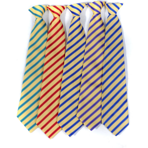 Beaminster School House Tie Thumbnail